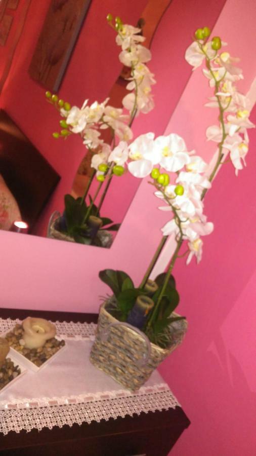 B&B San Vitale Bolonia Zewnętrze zdjęcie